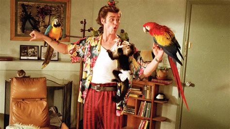 ace ventura pet detective   summary  film synopsis