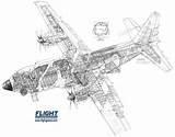 Cutaway Halifax Bomber Handley sketch template