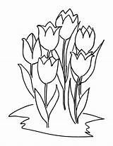 Lalele Tulpen Kleurplaten Tulips Sase Tulip Colorat Tulp Desen Six Tulipanes Bloemen Zes Planse Dibujo Flori Printen Imagini sketch template