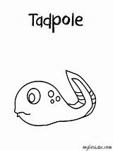Coloring Tadpole Pages Printable Colouring Pollywog Template Kids Popular sketch template