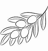 Olive Branch Vectorstock Drawing Google Simple Vector Drawings Choose Board Talli Oil sketch template