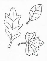Coloring Leaves Pages Printable Leaf Oak Kids Colour Stencil Fall Yofreesamples Without Preschool Popular Print Coloringhome Stuff sketch template