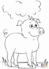 Coloring Pig Cartoon Cute Pages Categories sketch template