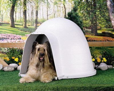 petmate dogloo xt dog house  large xx ctg dog products dog containment houses