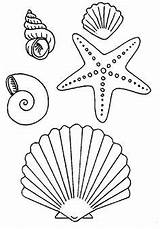 Coloring Pages Starfish Printable Shells Ocean Sea Summer Sheets sketch template
