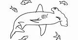 Shark Coloring Goblin Pages Color Getcolorings sketch template