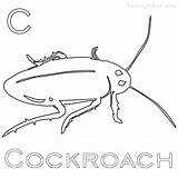 Cockroach Coloring Pages Printable Roach Getcolorings Getdrawings Color Template sketch template