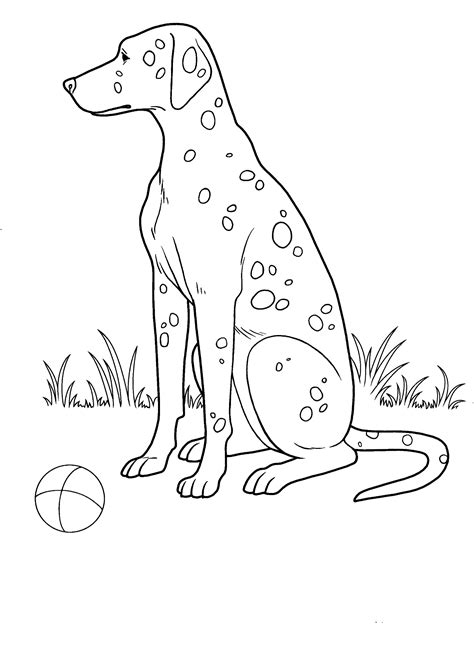 coloring page spotted dog