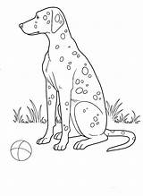 Dog Coloring Dogs Pages Spotted Printable sketch template