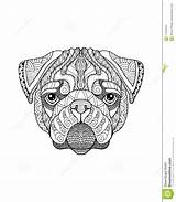 Zentangle Pug Illustration Vector Stylized Freehand Dog Preview sketch template