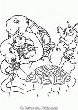 Tortues Coloriages sketch template
