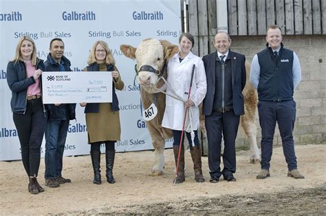 galbraith staff raise bullish total  rsabi