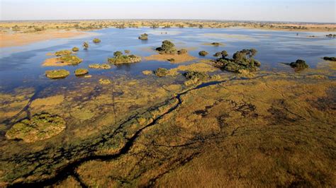 Why Africa Should Embrace Botswana’s Conservation Model Southern