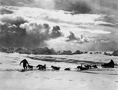 10 great films set in the arctic and antarctica bfi