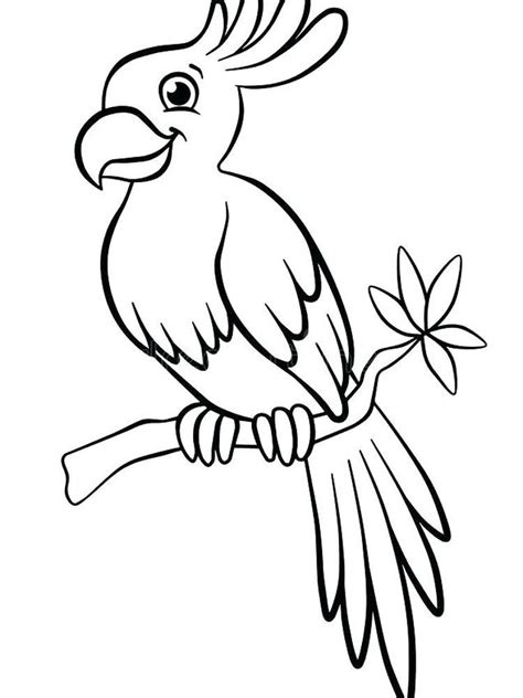 flying parrot coloring pages parrots      famous