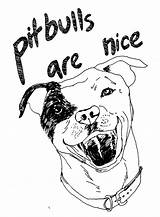 Pitbull Puppy Pitbulls Colouring Designlooter sketch template