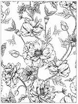 Coloring Detailed Flowers Beautiful Malvorlagen Pages Flower Book Blumen Designs Floral Ausmalbilder Color Adult Issuu sketch template