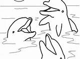 Dolphin Tulamama Dolphins sketch template