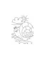 Coloring Snail Pages Pretty Cute Falling Rising Sun sketch template