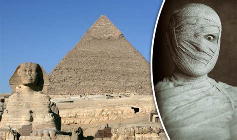 Ancient Egyptians Analysis Of Mummy Dna Reveals This