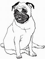 Pug Coloring Pages Printable Dog Cute Baby Kids Pugs Puppy Sheets Cartoon Color Print Bestcoloringpagesforkids Animal Girls Popular Drawing Book sketch template