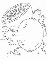 Coloring Lime Pages Lemon Kids Template Drawing Colouring Bestcoloringpages Print Adult Para Sketch Advertisement Printable Color Pdf Line Fruit Popular sketch template