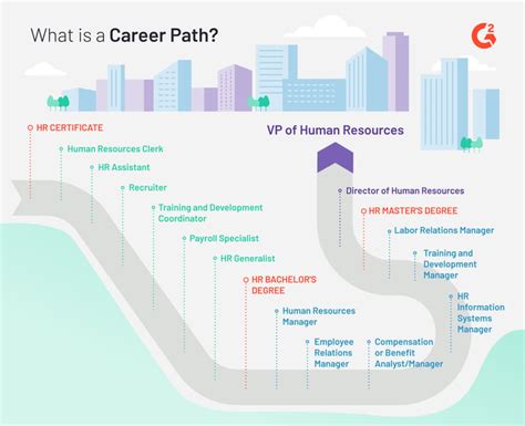career path   choose  career path