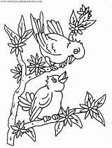 Coloriage Oiseaux Oiseau Uccelli Branche Pajaros Disegno Ninos Coloriages Animaux Branches Paginas Hugo Colorare Hugolescargot sketch template