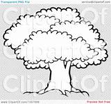 Clip Tree Canopy Lush Outlined Mature Illustration Royalty Vector Perera Lal sketch template