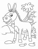 Donkey Coloring Pages Kong Getcolorings sketch template