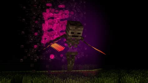appearance   skeleton wither  minecraft animation youtube