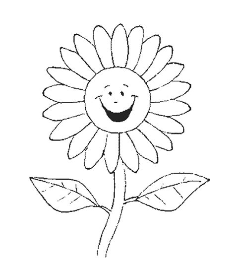 sunflower drawing  kids  getdrawings