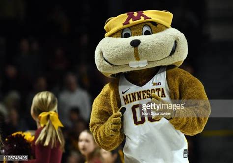 Minnesota Gophers Mascot Photos And Premium High Res Pictures Getty
