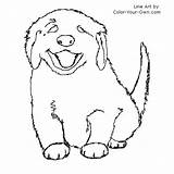 Retriever Labrador Puppy Designlooter Howtodraw sketch template