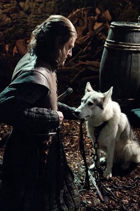 game of thrones actress sophie turner adopts her direwolf