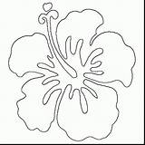 Flower Hawaii Drawing Getdrawings Hawaiian Coloring sketch template