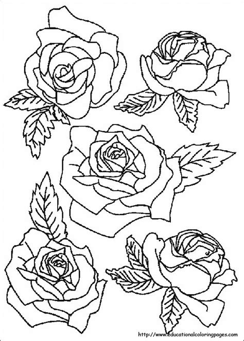 nature coloring pages educational fun kids coloring pages