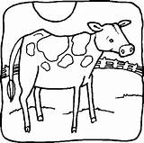 Cows Coloring Fun Kids Pages sketch template