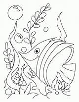Pages Coloring Fish Gold Rush Flower Gush Preschool Cute Printable Kids Sheets Color Comments Tropical Worksheets Letter Getcolorings sketch template