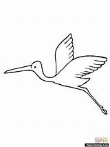 Stork Colorings sketch template