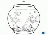 Fish Coloring Bowl Pages Tank Clipart Template Betta Aquarium Pet Printable Kids Drawing Sheet Print Outline Color Fishes Goldfish Real sketch template