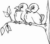 Vogel Kleurplaten Ast Vogelpaar Uccelli Mewarnai Kleurplaat Nordisch Oiseau Ramo Uccellini Malvorlage Coloriages Dia Disegno Animaatjes Desenho Vogelhaus Stampare Burung sketch template
