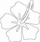 Coloring Flower Hawaiian Pages Hawaii Flowers Coloringhome Popular Wecoloringpage sketch template