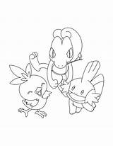 Pokemon Coloring Pages Advanced Mudkip Color Torchic Colouring Printable Sheets Groups Torch Print Mud Truck Getcolorings Getdrawings Silhouette Olympic Tv sketch template