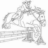 Jumping Coloring Horses Equestrian Hellokids sketch template