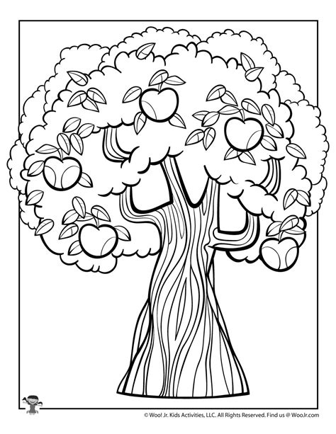 apple tree coloring page printable
