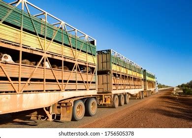 cattle truck australia images stock  vectors shutterstock