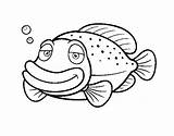 Grouper Coloring Drawing Coloringcrew Pages Getdrawings sketch template