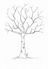 Tree Outline Drawing Fingerprint Template Blank Trees Easy Printable Print Family Library Clipart Spring Leaf sketch template