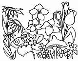 Garden Template Templates sketch template